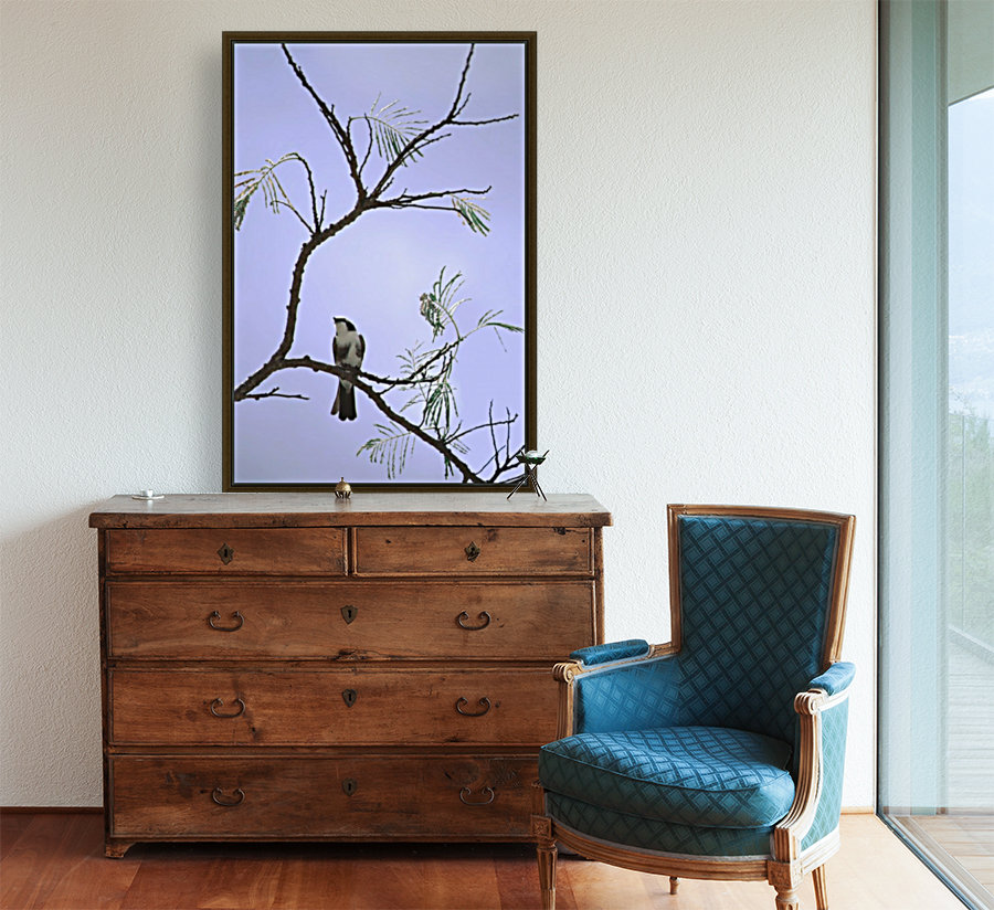 Ode to Audubon Reproduction