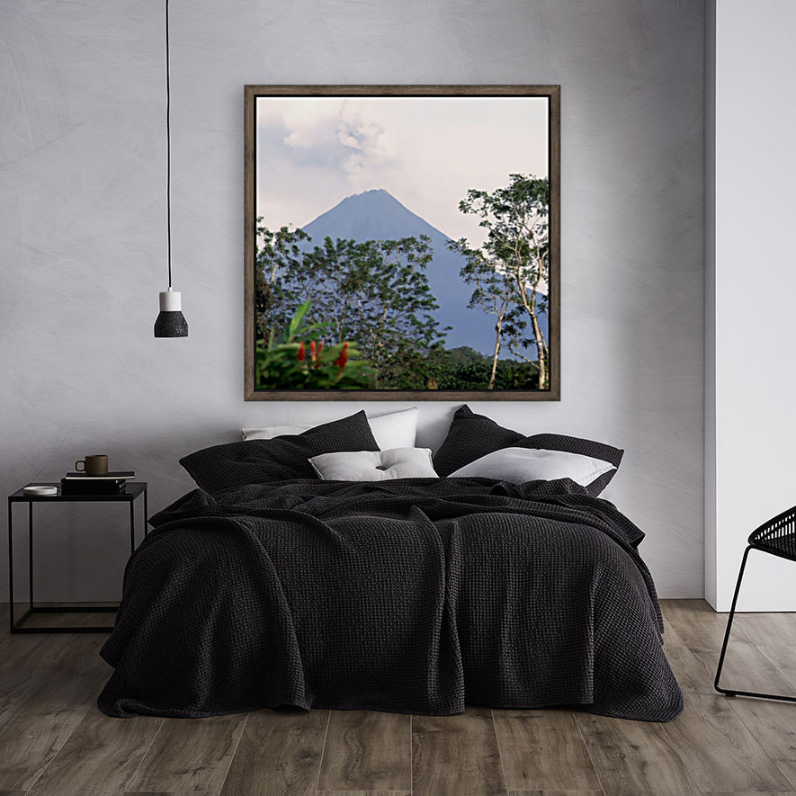 Tropical Volcano  Reproduction