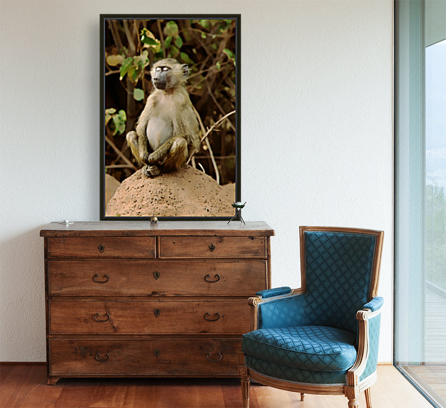 Buddha Baboon  Reproduction