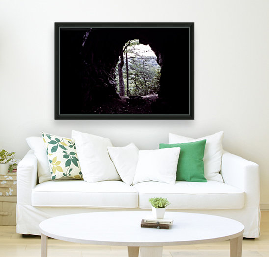 Forest Cave Reproduction