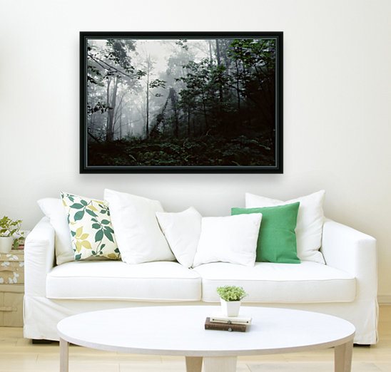 Forest Fog Reproduction