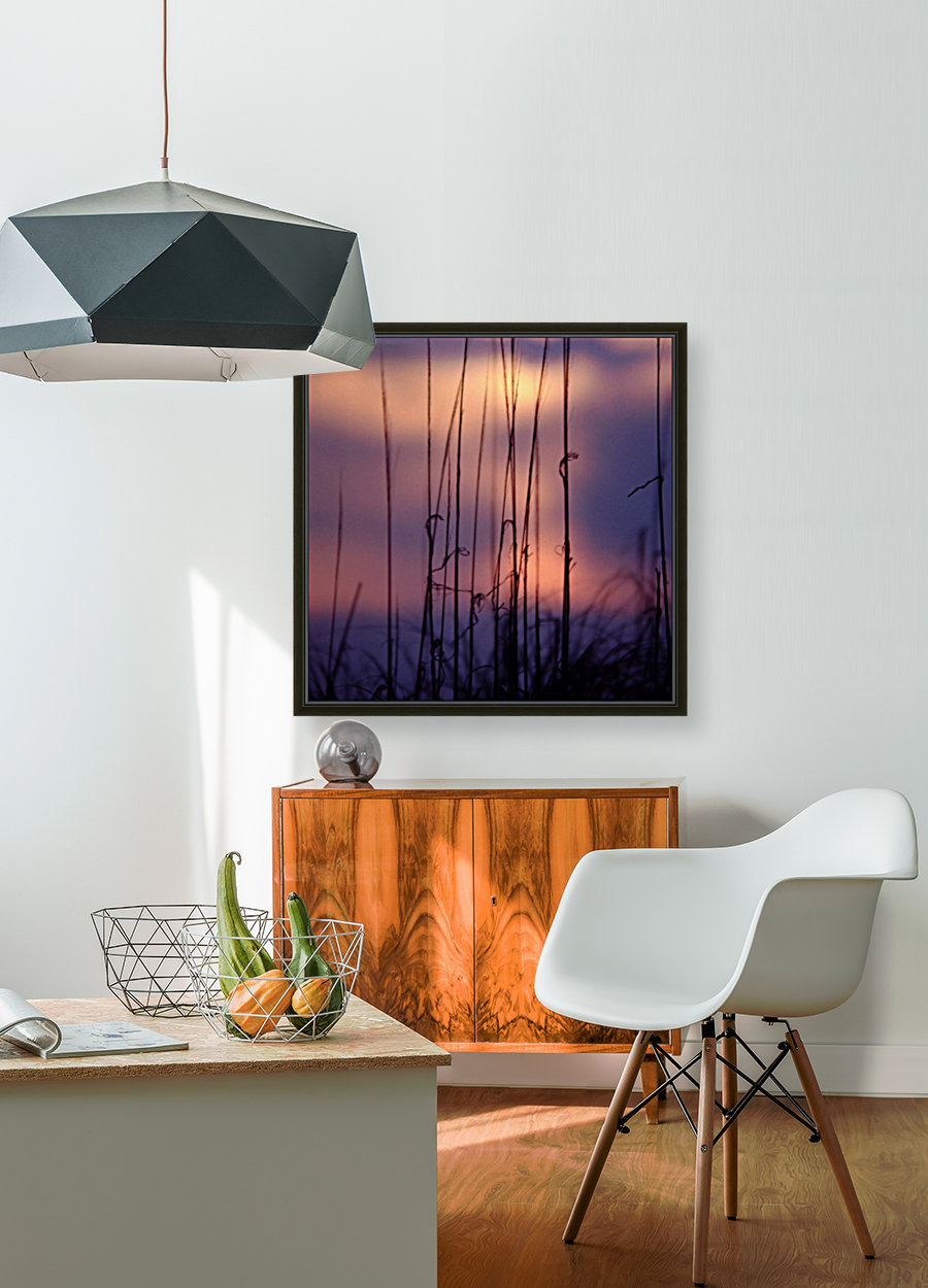 Reed Sunset square Reproduction