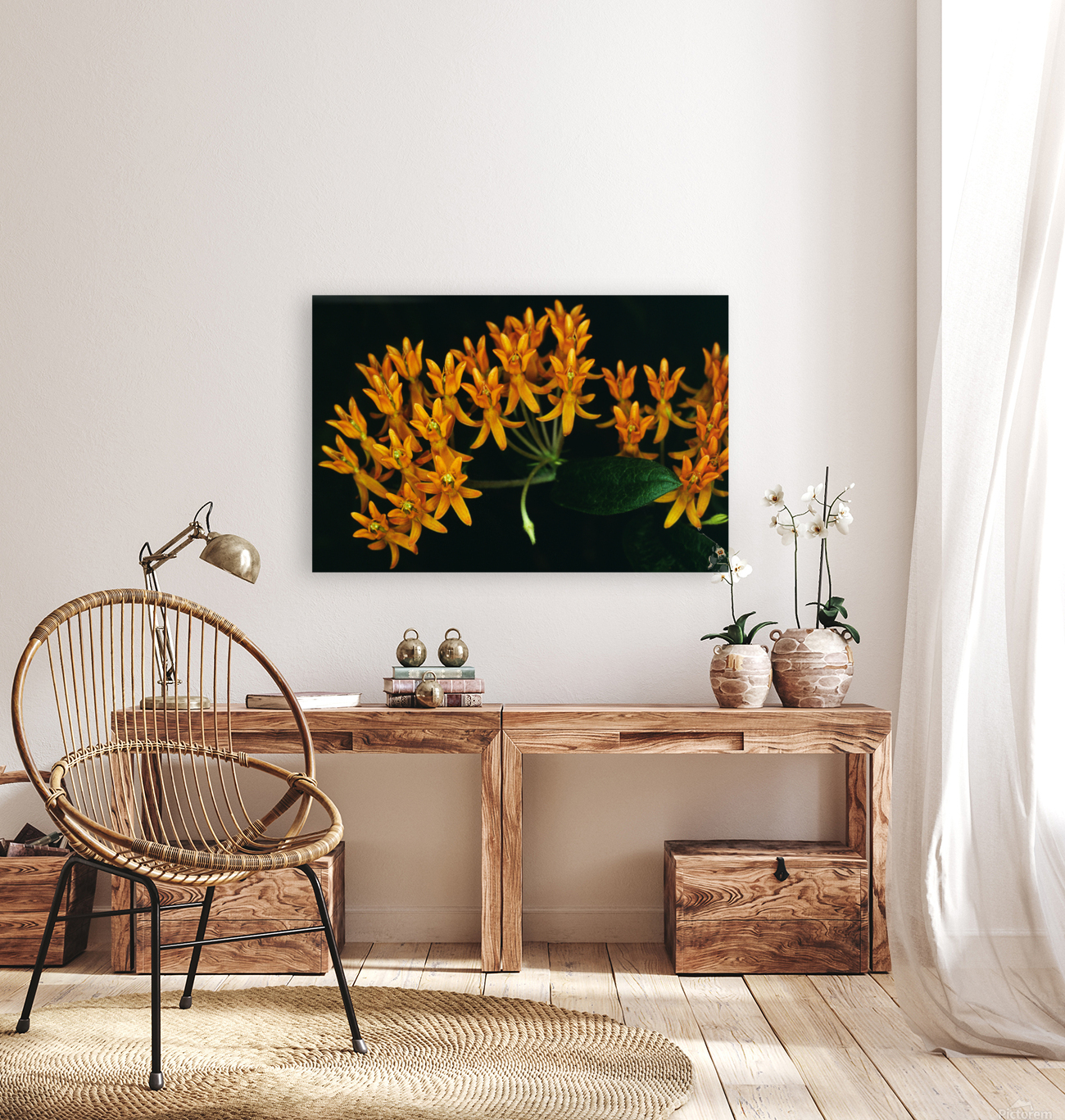 Butterfly Weed Reproduction