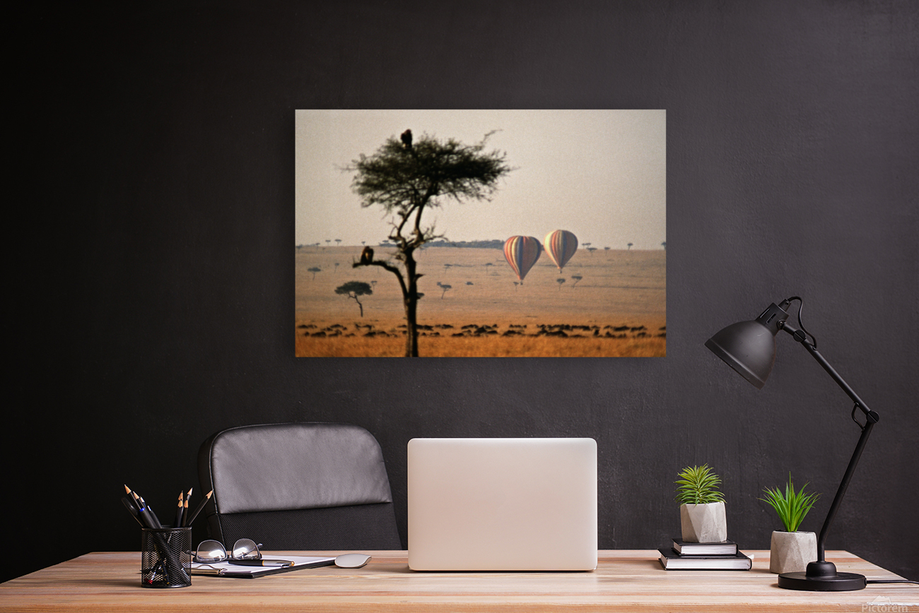 Savanna Balloon Reproduction