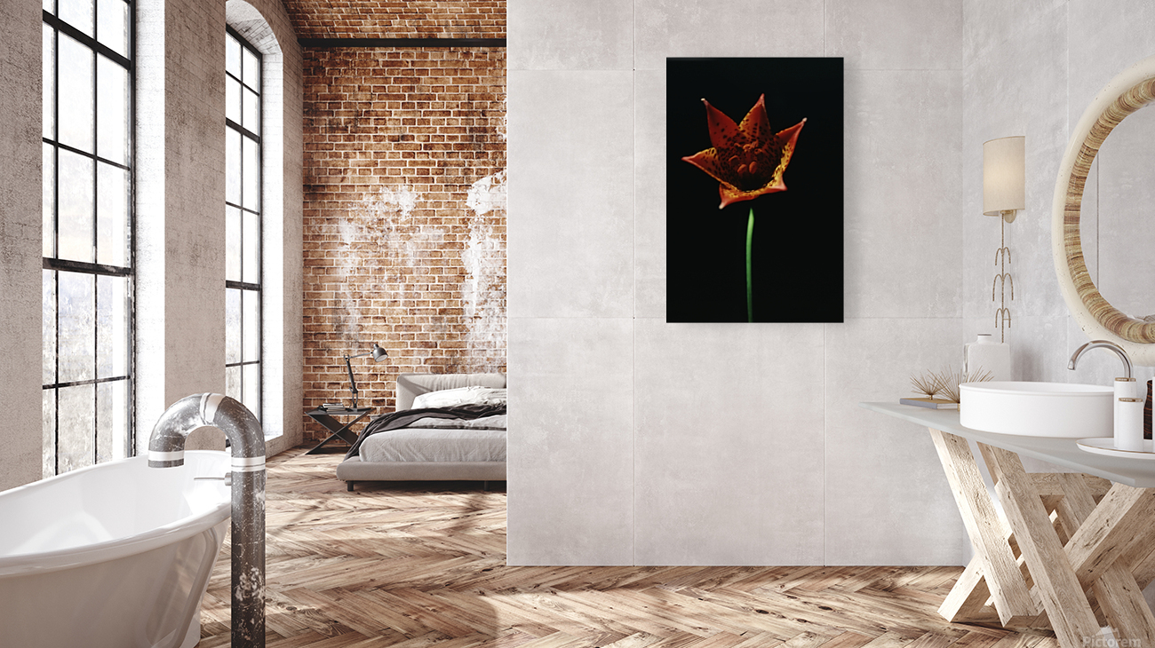 Fire Lilly Reproduction