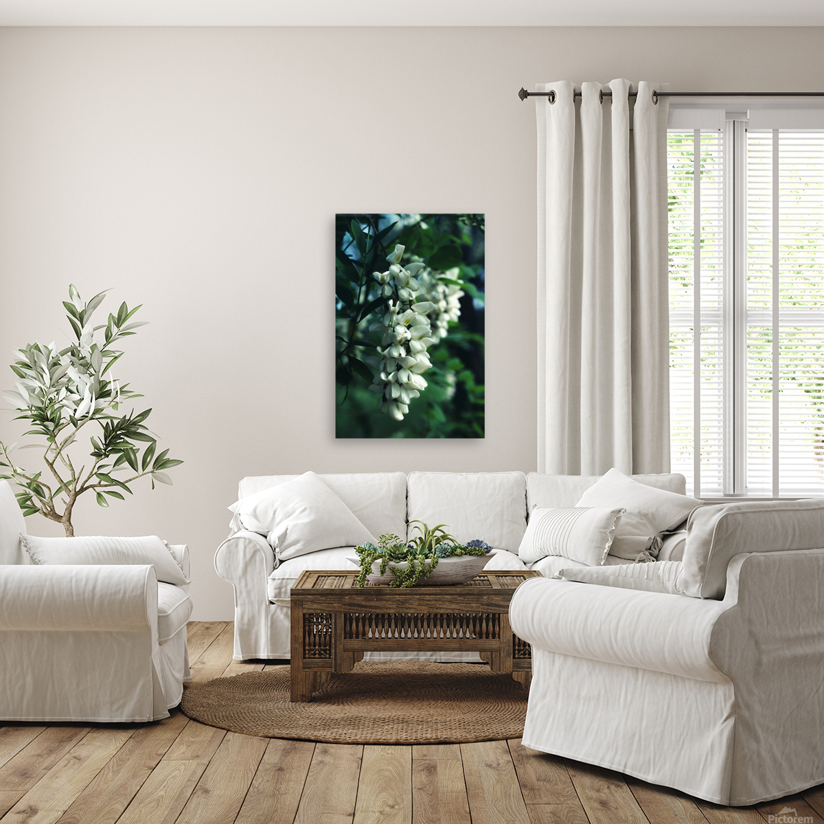 Black Locust Reproduction