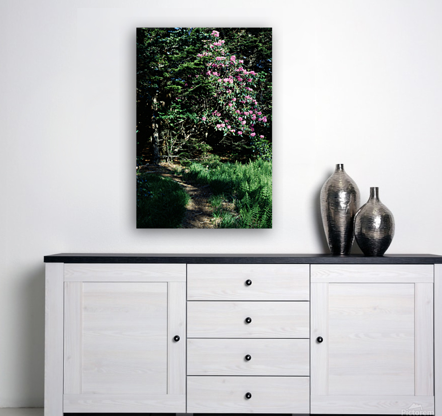 Rhododendron Road Reproduction