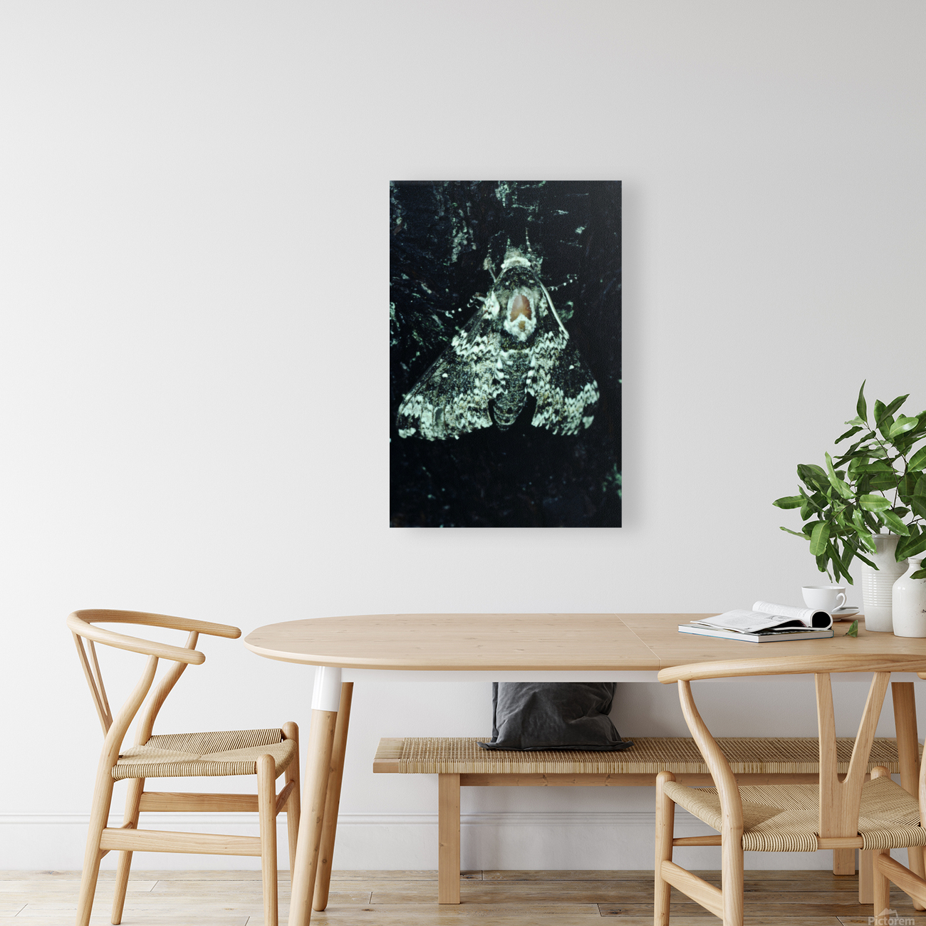 Pepper Moth Reproduction