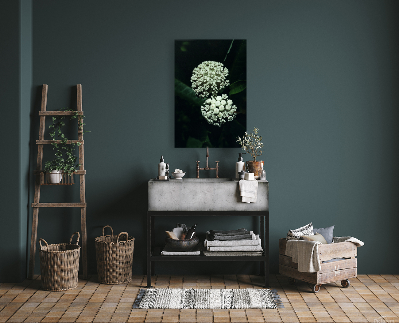 White Milkweed Reproduction