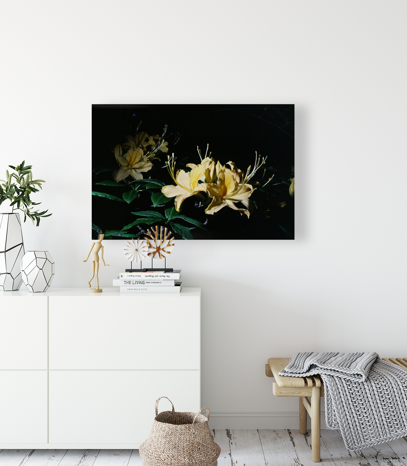 Yellow Azalea Reproduction