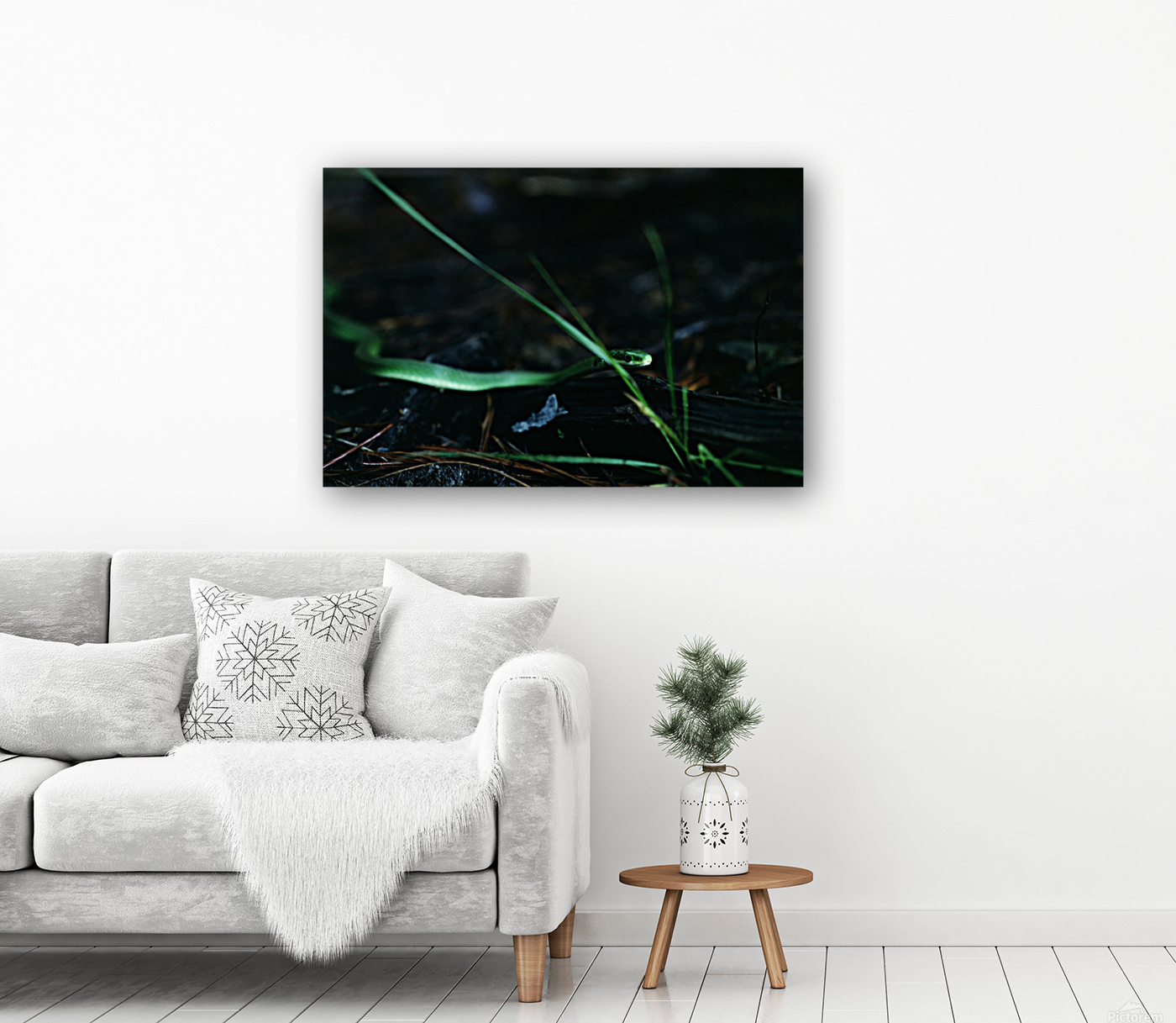 Rough Green Snake Reproduction