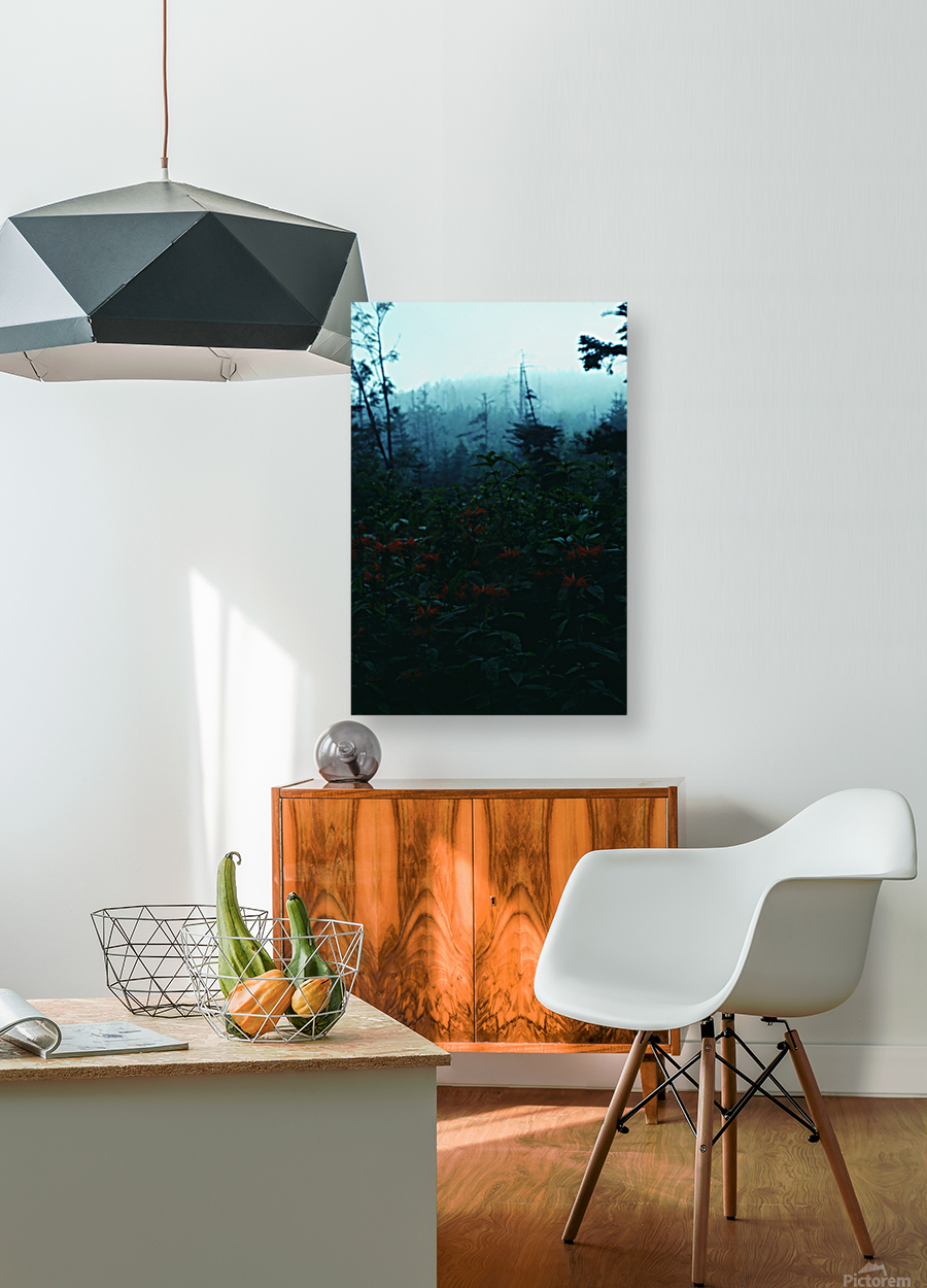 Bee Balm Mountains Reproduction