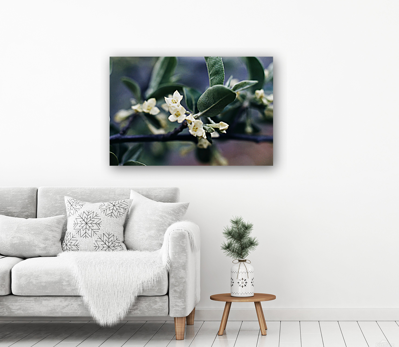 Russan Olive Reproduction