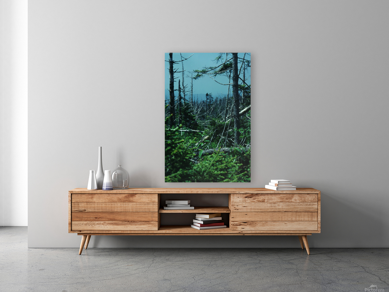 Seral Forest Reproduction