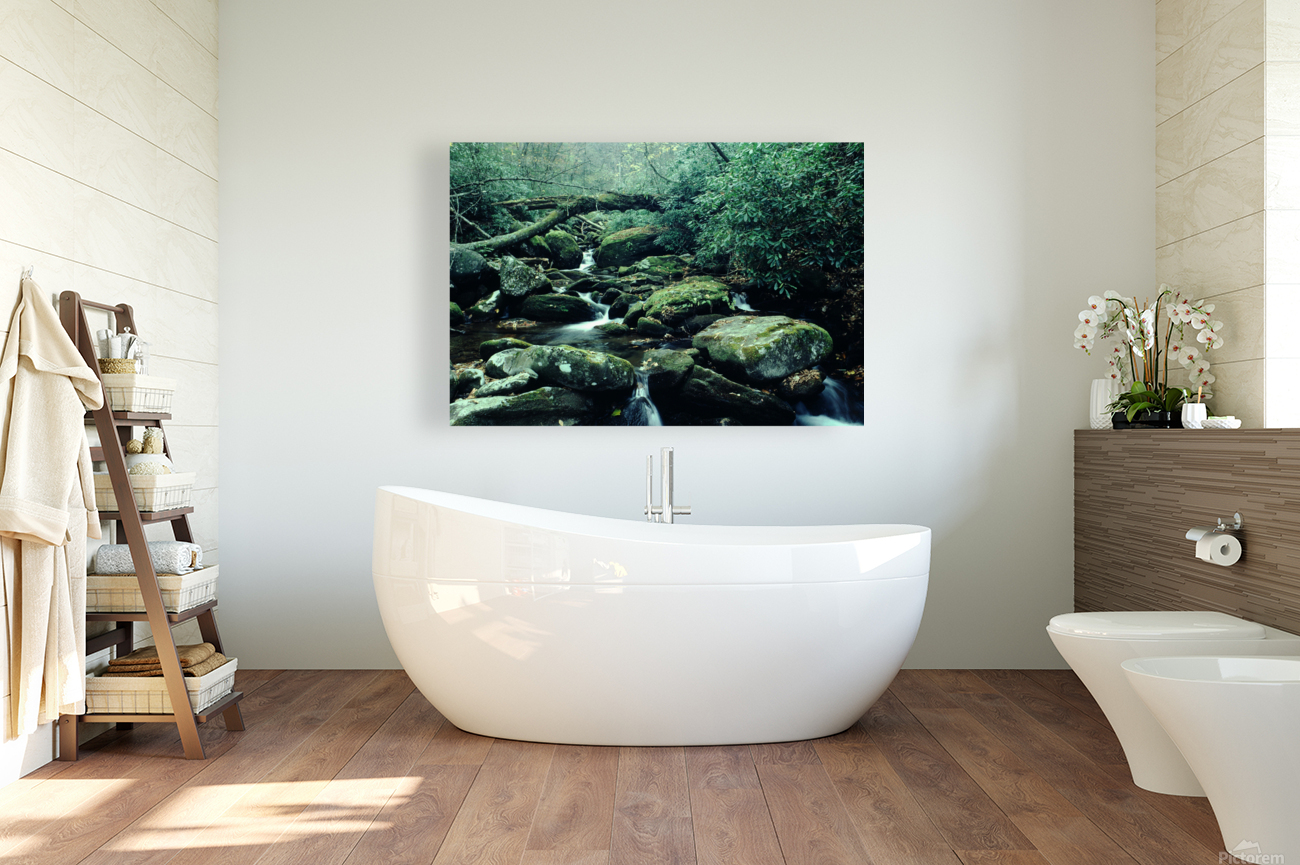 Serene Stream Reproduction