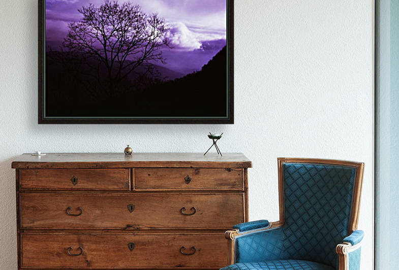 Purple Winters Sky by Greene Safaris Productions 