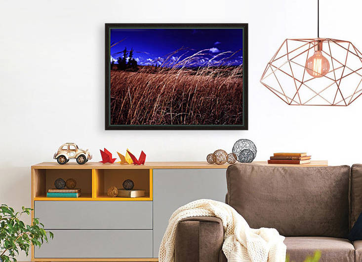 Western Sky Reproduction