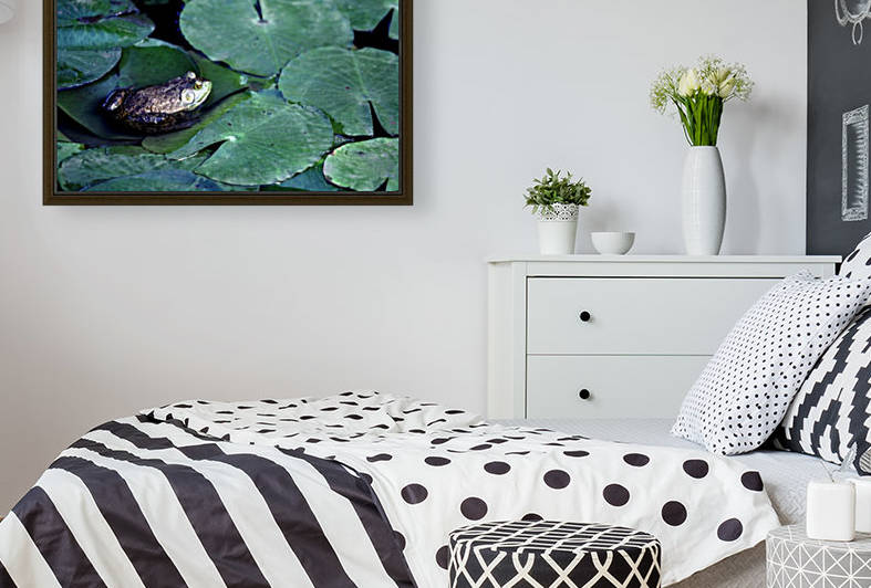 Frog on Lilies Reproduction