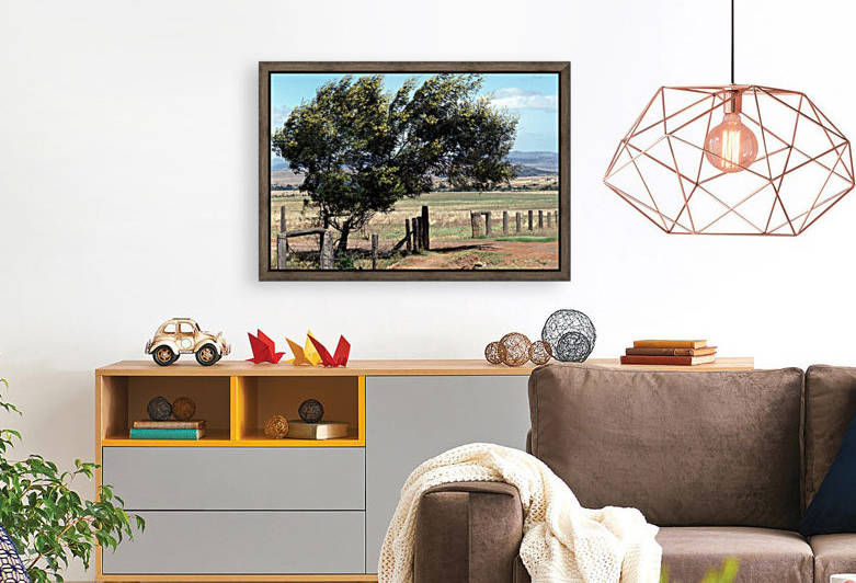 Windswept Tree by Greene Safaris Productions 