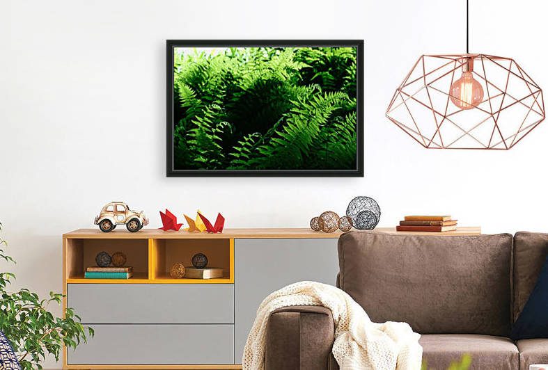 Hay Scented Ferns by Greene Safaris Productions 
