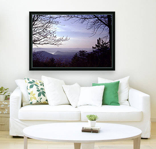 Framed Vista by Greene Safaris Productions 