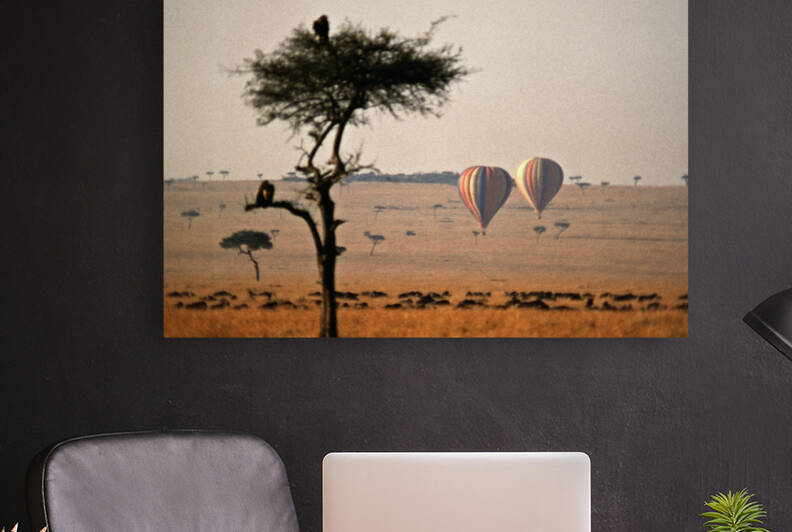 Savanna Balloon Reproduction