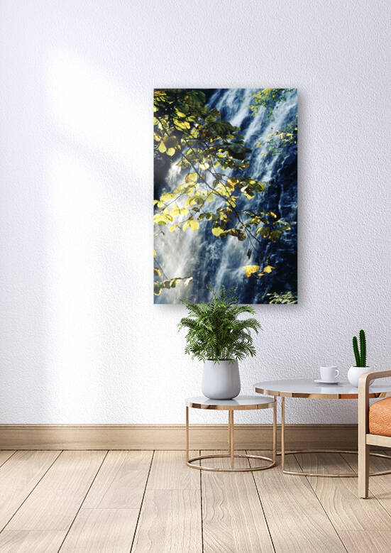 Cascade Under Forest Light Reproduction