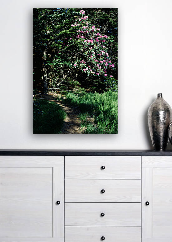 Rhododendron Road Reproduction