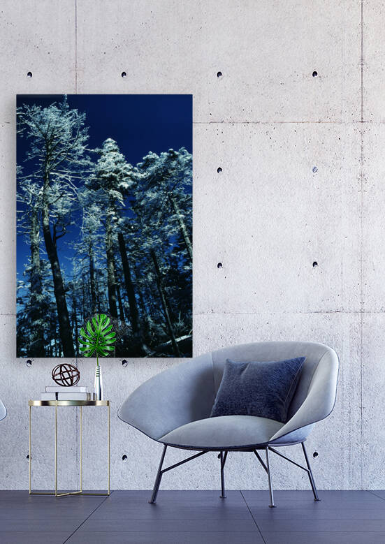 Blue Elysium by Greene Safaris Productions 