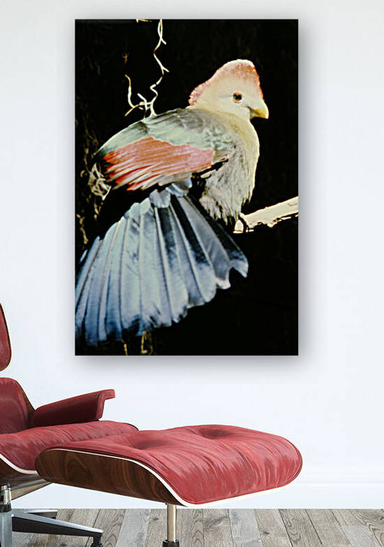 Unknown Beauty Reproduction