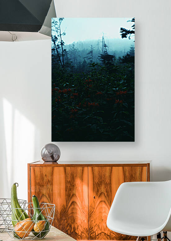Bee Balm Mountains Reproduction