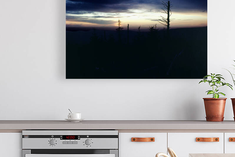 Sunset Silhouette Reproduction