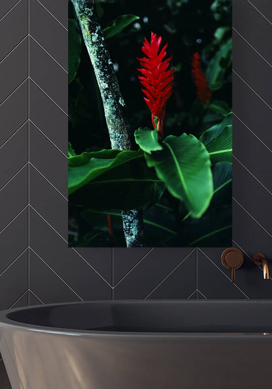 Tropical Red Bromeliad by Greene Safaris Productions 