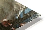 Elephant Grazing HD Metal print