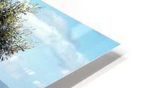 Windswept Tree HD Metal print
