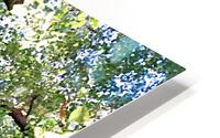 Warrior Tree HD Metal print