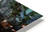 Forest Fog HD Metal print