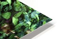 Be Different HD Metal print