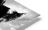 Quiet Before the Storm HD Metal print