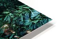 Black Mountain Flow HD Metal print