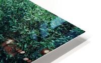 Serene Stream HD Metal print