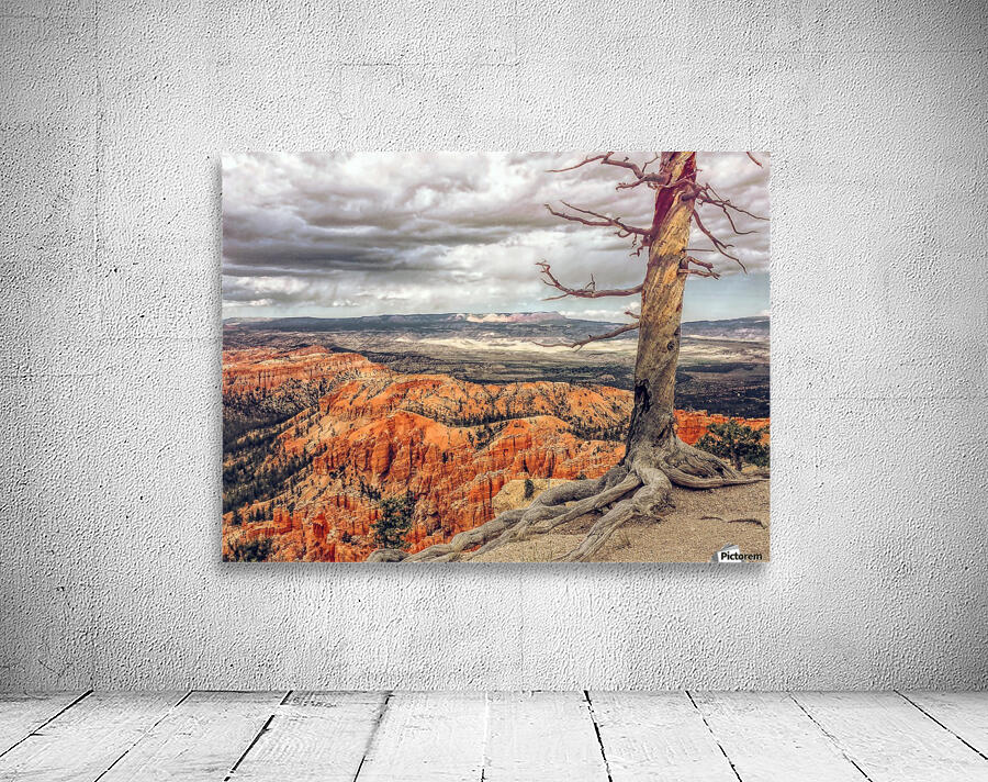 Bryce Canyon Wall Preview