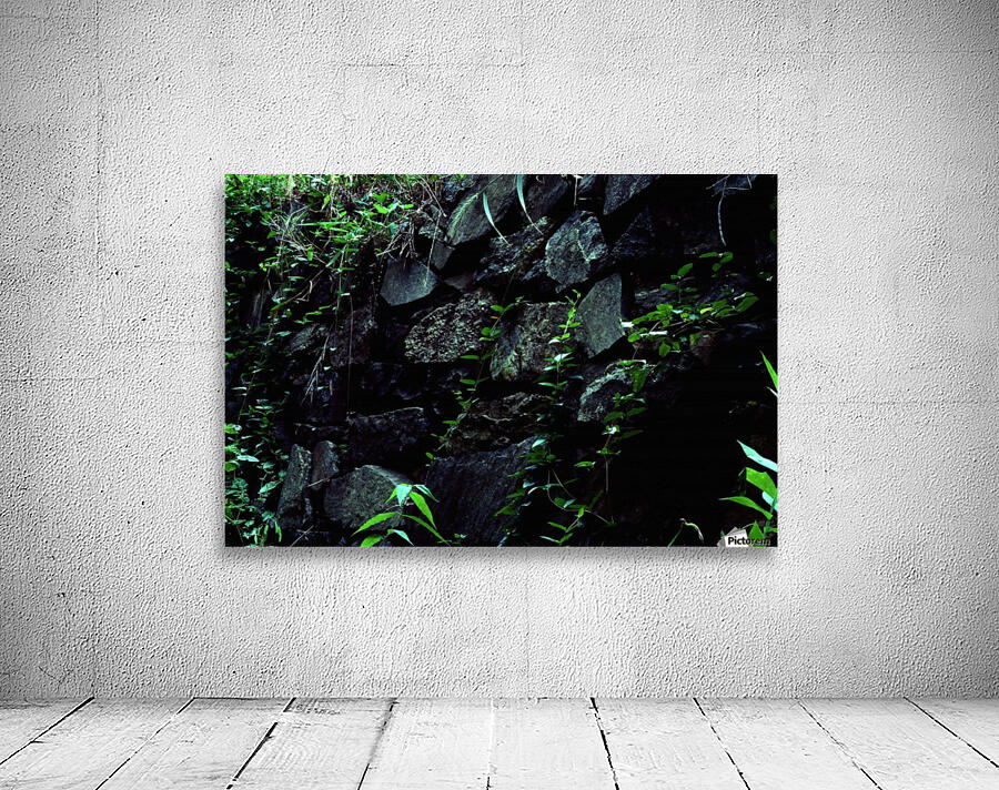 Stone Wall Wall Preview