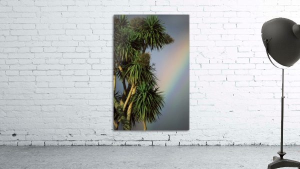 Tropical Rainbow Wall Preview
