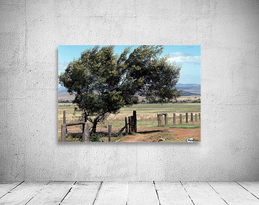 Windswept Tree Wall Preview