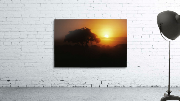 Sunset on the Serengeti Wall Preview