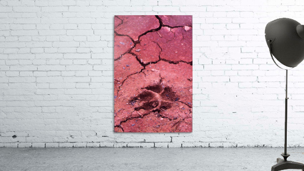 Dog Track Wall Preview