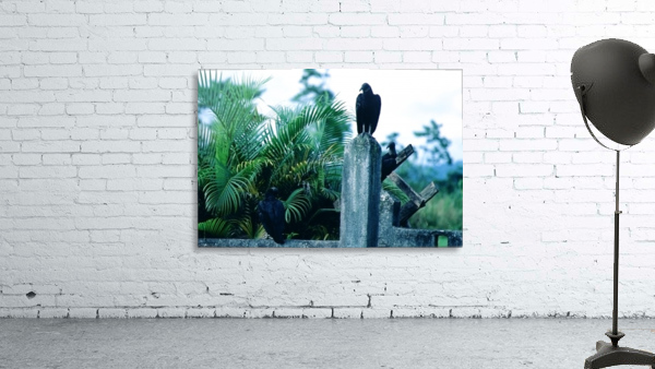 Grave Vultures Wall Preview
