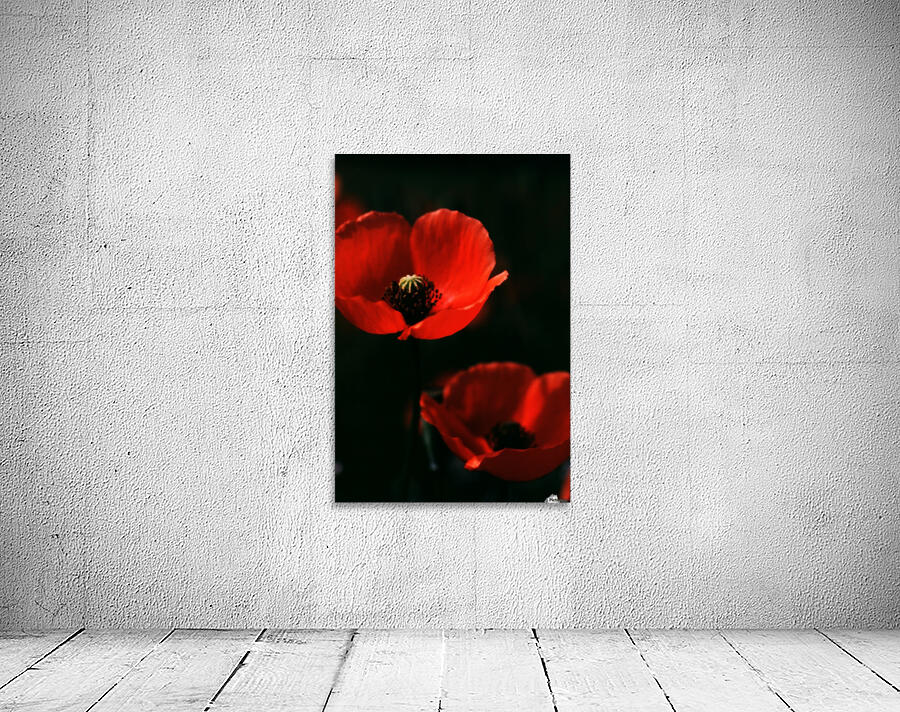Large Poppies Wall Preview