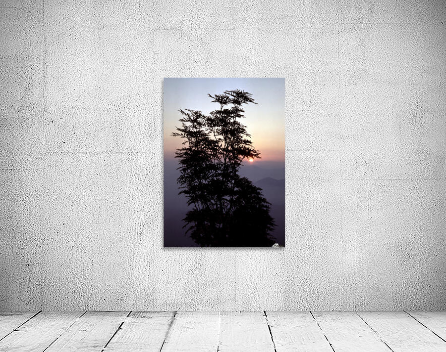 Mountain Ash Wall Preview